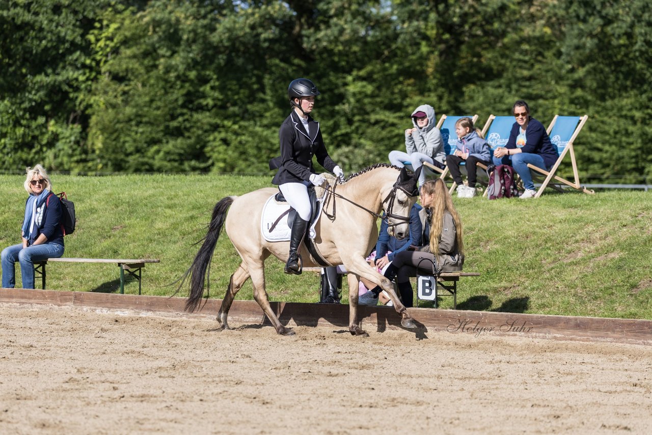 Bild 525 - Pony Akademie Turnier